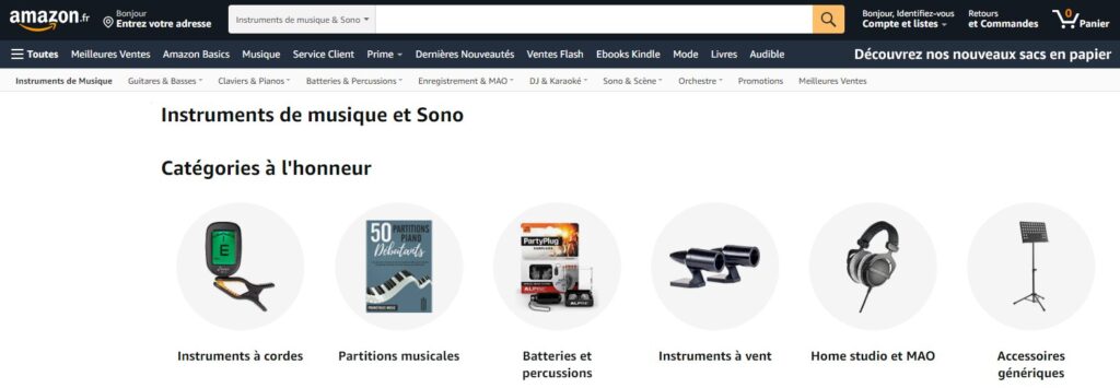 Meilleurs sites pour acheter un instrument de musique : Amazon
