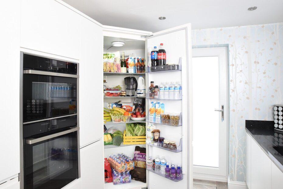 Meilleures marques de frigo, meilleures marques de réfrigérateurs congélateurs, meilleures marques de frigo américain