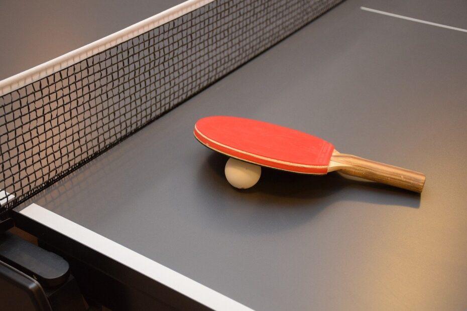 Meilleurs sites pour acheter une table de ping-pong, meilleurs sites de tennis de table, meilleures boutiques en ligne de ping pong, meilleurs magasins de ping-pong en ligne