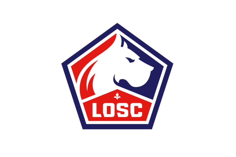 Meilleurs joueurs de l'histoire du LOSC Lille