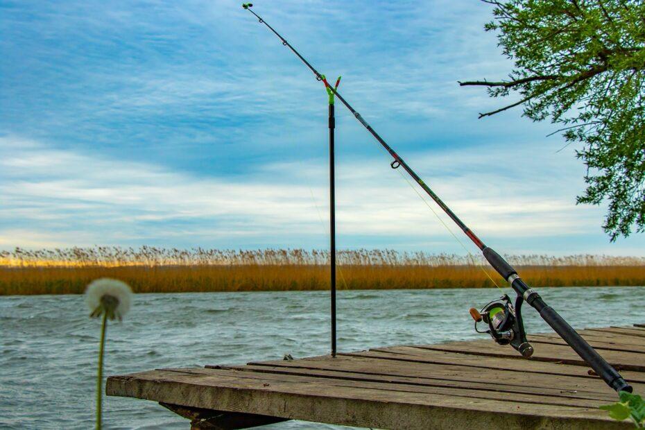 Top 10 des meilleures marques de canne à pêche